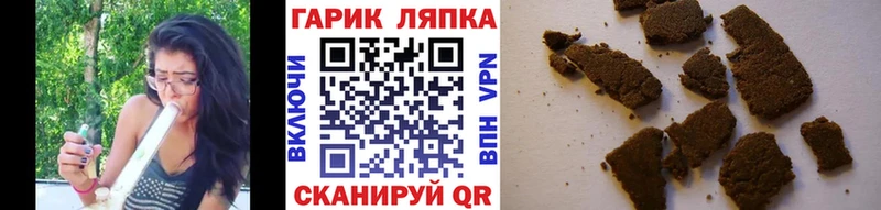 площадка официальный сайт  Сальск  ГАШ гашик 