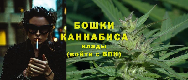МДПВ Осташков