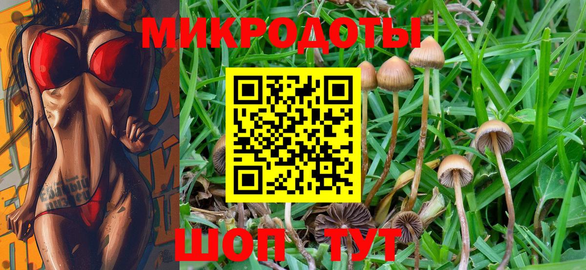 Галлюциногенные грибы прущие грибы Сальск