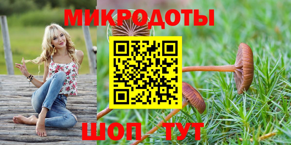 Сальск  Псилоцибиновые грибы прущие грибы  Вход с VPN 