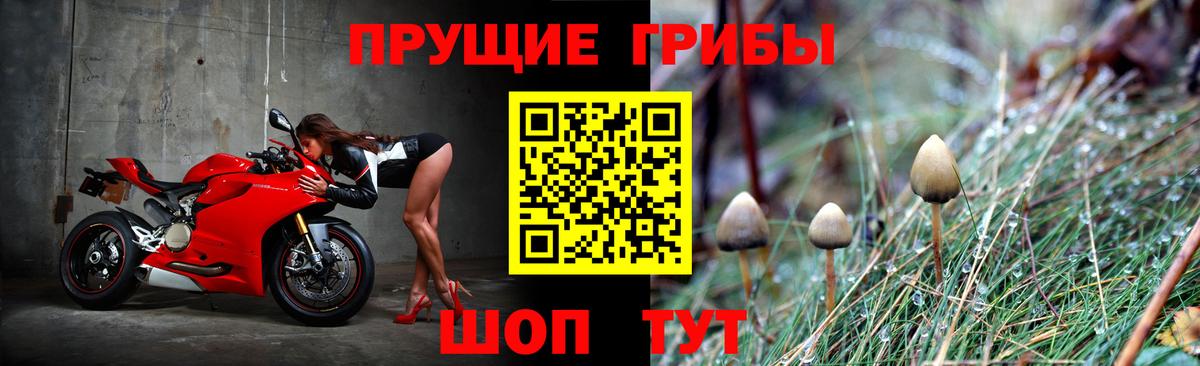 Сальск  МАРИХУАНА  Вход с VPN  Cocaine  Мефедрон кристаллы  ГАШИШ  Канабис 