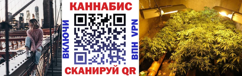 Бошки марихуана гибрид  Сальск 
